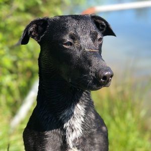 Meet your Posher, Madison